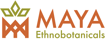 Image result for Manostachya