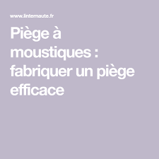 Piege A Moustiques Fabriquer Un Piege Efficace Piege A Moustiques Moustique Piege Moustique Tigre