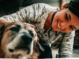 This page was created by pawboost to help more fur babies get home safe & sound. Veterinary Hospice Lap Of Love