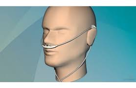 Prongs are small tube they slowly broaden towards the opening end and are specifically designed to slow down the flow of. Oxygen Therapy Using Oxygen At Home Northshore