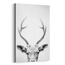Black And White Deer Canvas Noir Gallery Deer Peekaboo Nursery Animal Canvas Wall Art Print In 2020 White Framed Art Black White Art Black White Artwork