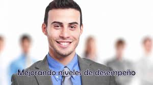 Network CFS Consultores