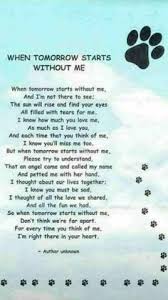 Rainbow bridge poem for dogs. 310 Rainbow Bridge Poem Ideas Rainbow Bridge Dog Quotes Pet Loss Grief