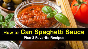 This is a basic spaghetti sauce recipe taken from the national center. 3 Yummy Canned Spaghetti Sauce Recipes