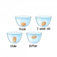 Put An Egg In A Bowl With Fresh Water To See If It Is Still Fresh Easyecotips