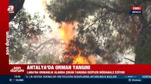 Türkiye`den ve dünyadan tüm haberler, i̇ha anasayfa, son dakika gelişmeleri, i̇hlas haber ajansı farkı ile bu sitede. A Haber Antalya Da Orman Yangini Lara Da Ormanlik Alanda Cikan Yangina Ekipler Mudahale Ediyor Facebook