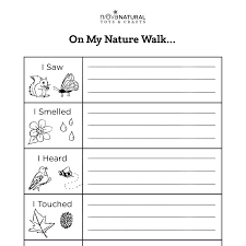 We need 2nd grade online teaching tips to help us navigate remote learning that connects with these sweet, curious students. Activities Five Senses Nature Walk Walking In Nature 2nd Grade Writing Learning Through Play