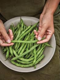 See full list on agrilifeextension.tamu.edu Growing Beans Pole Or Bush Burpee