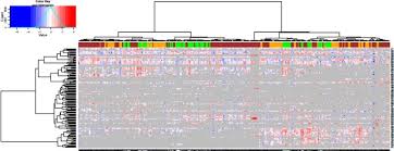Image result for bioinformatics heatmap