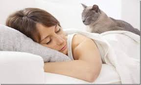 Los fascinantes Significados sobre Soñar con Gatos