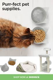 Find Pet Supplies And More At Kohl S Pet Supplies Pets Dog Gadgets