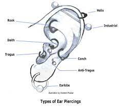 Ear Piercing Styles For Men Ear Piercings Guys Ear Piercings Types Of Ear Piercings