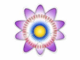 Maybe you would like to learn more about one of these? Watch Tv Camara Live Streaming Paraguay Tv Channel