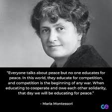 Vista Montessori School, Inc.