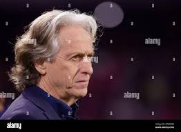 Jorge Fernando Pinheiro de Jesus, coach of SL Benfica Lisbonne, during the  UEFA Europa League Group D stage match between Standard Liege and SL  Benfica at Stade Maurice Dufrasne