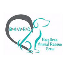 Adopt peach on pet adoption adoption center adoption. Bay Area Animal Rescue Crew Baarc Home Facebook