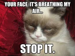 Inspiring and distinctive quotes about grumpy. Funny Grumpy Cat Pictures With Quotes Grumpy Cat