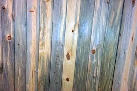 At the first sight of a pine beetle near your tree, there are most likely many larvae hiding in the bark. Your Metro Denver Beetle Kill Pine Blue Stain Pine Headquarters