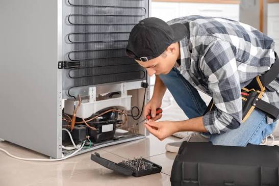 Refrigerator Fridge Repair Maintenance