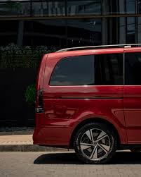 Image result for Hibiscus Red 2017 Vito