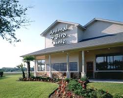 Veterinary Hospital Architect Abc Animal Bird Clinic Sugar Land Tx Animal Shelter Design Shelter Design Animal Shelter