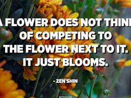 Same day delivery & 20% off! A Flower Does Not Think Of Competing To The Flower Next To It It Just Blooms Zen Shin Quotespedia Org