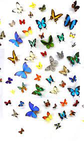 Download the background for free. Wallpaper Iphone Butterfly Design 2021 3d Iphone Wallpaper