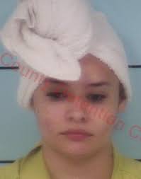 Bourbon, Harrison County agencies make drug busts