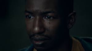 Archive 81': Dina Shihabi