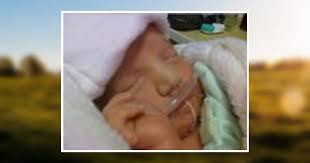 Lily Anne Hudson Obituary October 22, 2009