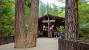 Yosemite Park