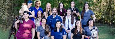 Our nonprofit east austin vet clinic offers affordable spay and neuter services, pet vaccinations, heartworm our east austin low cost vet clinic is located on levander loop near the austin animal center. Northwest Veterinary Hospital Austin Veterinary Hospital