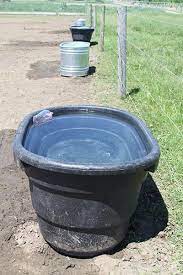Little giant poly oval stock tank (black) heavy duty feeding lucky farm automatic float valve water trough cow cattle horse water bowls livestock tool galvanized raised garden beds for vegetables large metal planter box steel kit flower herb. Goldfish More Hassle Than Help In Horse Water Troughs The Horse