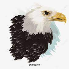 Vector Illustration Eagle Eagle Vector Eagle Clipart Eagle Png Transparent Clipart Image And Psd File For Free Download Vector Illustration Eagle Vector Illustration