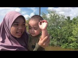 Sebarang pertanyaan sila hubungi : Keindahan Alam Dan Habitat Semulajadi Di Muara Sungai Besar Sabak Bernam Selangor Youtube