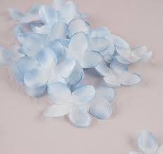 Exotic flower bushes + soap petals. Hydrangea Petals