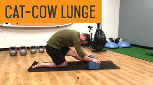 Cow pose is an easy, gentle way to warm up the spine. Cat Cow Lunge Portland Back Pain Relief Evolve Performance Healthcare Youtube