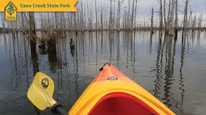 Go to the settings and set this background to take your team on a boat trip but make sure no one is suffering from the. Video Conference Backgrounds Arkansas State Parks