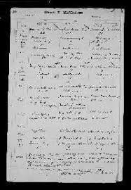 Julia Annie Allison（1860年–1951年）