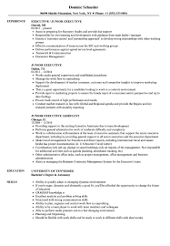 Your cv should incorporate your work history, professional skills, . Junior Executive Resume Samples Velvet Jobs