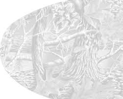 Get a good quality metal detectors would make only 50% of your task. Https Detecting Com Manuals Treasure 20hunter 20rev 202 2010 03 12 20 20printer Pdf