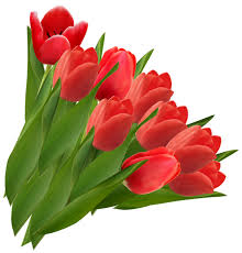 Red Tulips Png Clipart Picture Vector Flowers Red Tulips Flower Clipart