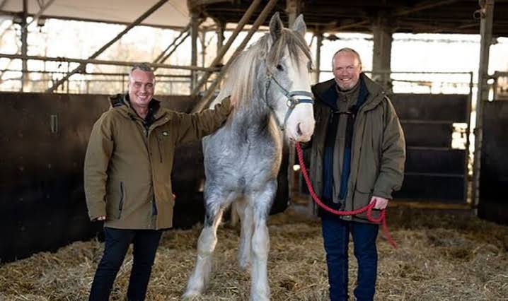 Cannon Hall Farm issues heartbreaking update after sudden death - AOL