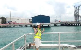 Pengalaman tes online pertamina 2018 velonia s tips A Story Of Ajeng Hilarysa Fl003 Semarang Xl Future Leaders