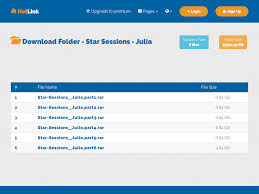 Files in Star Sessions - Julia folder