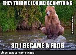 I Could Be Anything Funny Animal Memes Cute Animal Memes Funny Bears