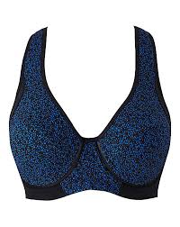 Dorina Spirit Medium Impact Sports Bra