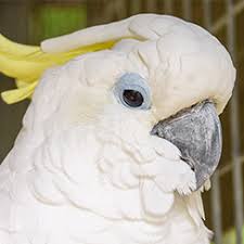What's so special about the animal farm petting zoo? Long Island Game Farm Wildlife Park And Children S Zoo