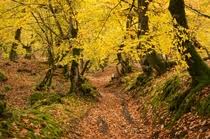 Image result for puhung metro station