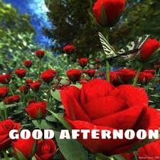 Afternoon Love And Blessings Good Afternoon Quotes Good Afternoon Afternoon Quotes